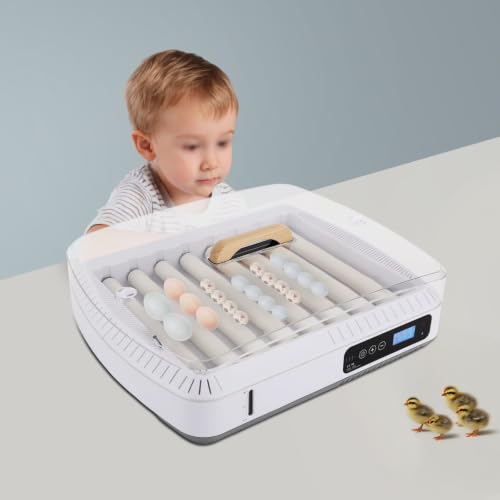 Egg Incubator 35 Eggs, Fully Automatic Digital Hatcher, Precise Temp Control 68-122°F, Poultry Hatching Machine with Auto Egg Turner, for Chicken Duck Goose Quail Parrot - size: 35 Eggs
