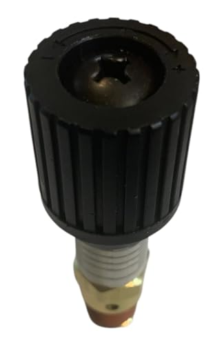 American Made Brass Pressure Relief 0-100 PSI Adjustable Range Valve