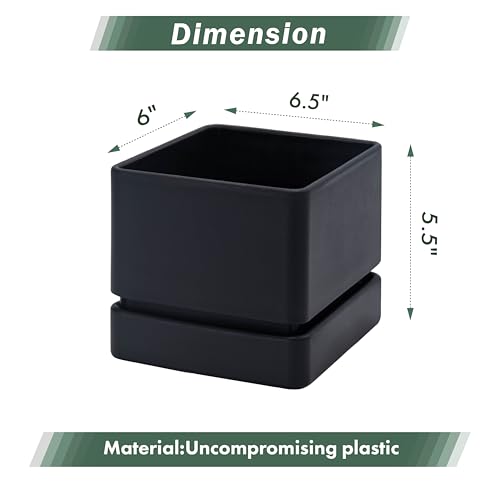 D'vine Dev 2-Pack Plastic Herb Planter Pots, 6 in, Black, 76-Y-B2-2 - color: Black, size: 12 Inch x 6.5 Inch