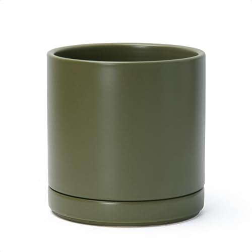 D'vine Dev 8.2 Inch Ceramic Planter Pot, Olive, 94-O-D-J - color: Olive, size: Medium