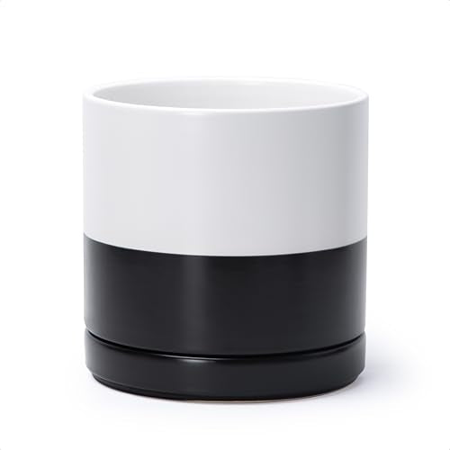 D'vine Dev 8.2 Inch Ceramic Planter Pot, Black White Two Tone, 94-O-D-L - color: Layered Monochrome Black & White, size: Medium