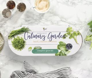 Buzzy Seeds Windowsill Herb Kit, Metal Planter, Basil Cilantro & Chives - color: Copper