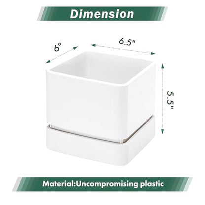 D'vine Dev 2-Pack Plastic Herb Planter Pots, 6 in, White, 76-Y-A2-2 - color: White, size: 12 Inch x 6.5 Inch