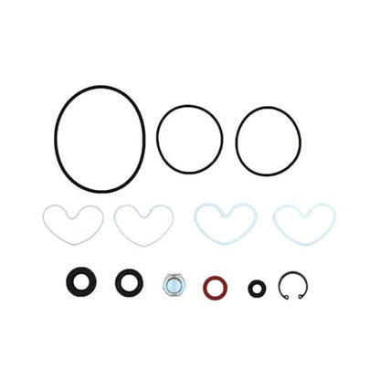 1810839M91 Power Steering Pump Seal Kit Fits Landini 7860
