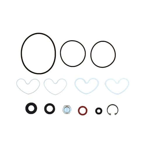 1810839M91 Power Steering Pump Seal Kit Fits Massey Ferguson, Landini