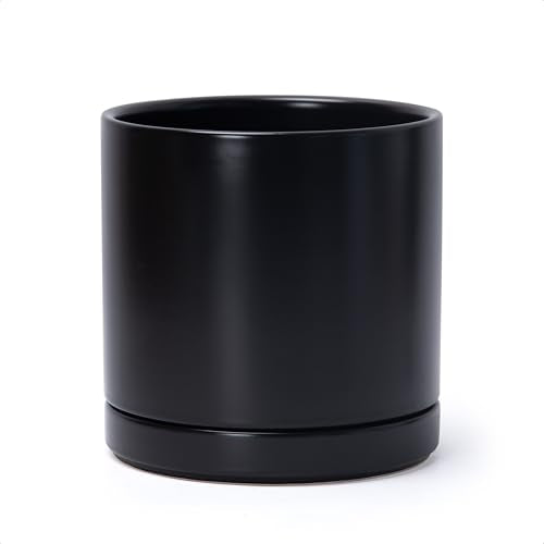 D'vine Dev 8.2 Inch Ceramic Planter Pot, Black, 94-O-D-2 - color: Black, size: Medium
