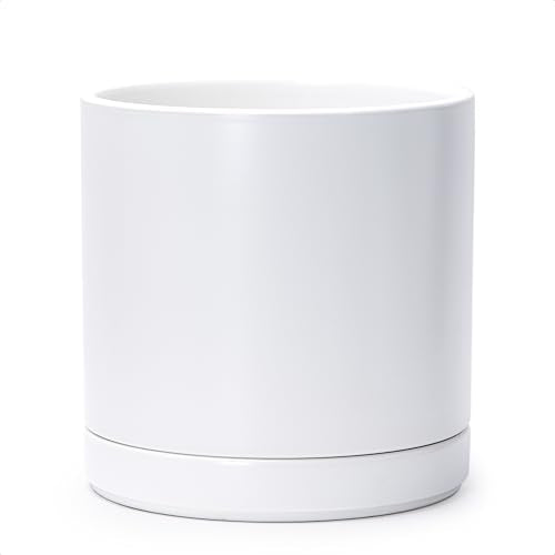 D'vine Dev 10 Inch Ceramic Planter Pot, White, 94-O-E-1 - color: White, size: Large