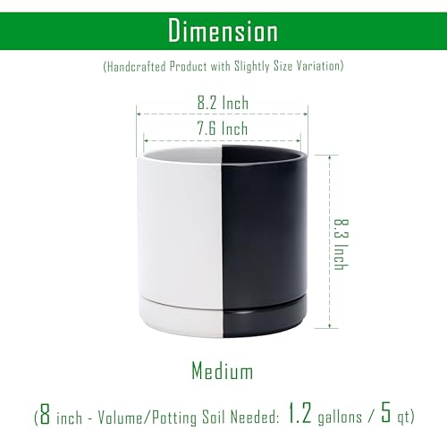 D'vine Dev 8.2 Inch Ceramic Planter Pot, Black White Split, 94-O-D-0 - color: Split Monochrome Black & White, size: Medium