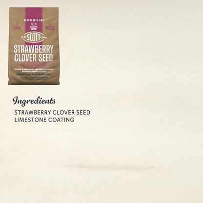 O.M. Scott & Sons Strawberry Clover Seed, 2 lbs. - color: Stawberry Clover, size: 1 Pack