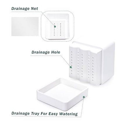 D'vine Dev 2-Pack Plastic Herb Planter Pots, 6 in, White, 76-Y-A2-2 - color: White, size: 12 Inch x 6.5 Inch