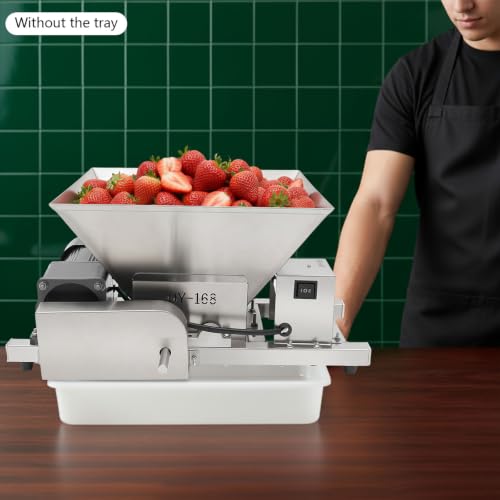 Electric Fruit and Bread Crusher, 4L Stainless Steel Grinding Machine