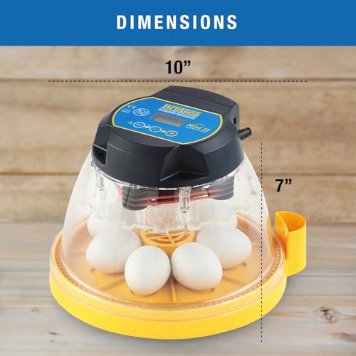 Brinsea Mini II Advance Incubator with Automatic Turner for Hatching 7 Eggs - size: 7 Eggs