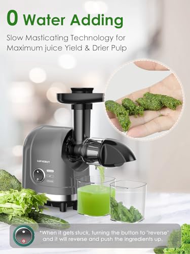 Masticating Juicer Machine 200W Slow Cold Press Extractor for Veggie/Fruit - color: Grey