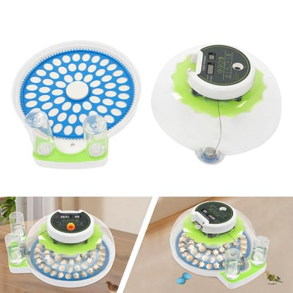 Bird Egg Incubator 60 Eggs, Poultry Quail Incubator, Automatic Temperature Control with Digital LED Display, Small Quail Brooder, for Parrot, Canary, Small Poultry & Bird Hatching - size: 60 Bird Eggs