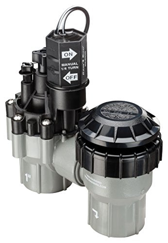Rain Bird DASASVF100 Professional Anti-Siphon Valve, 1" - size: 1 Inch
