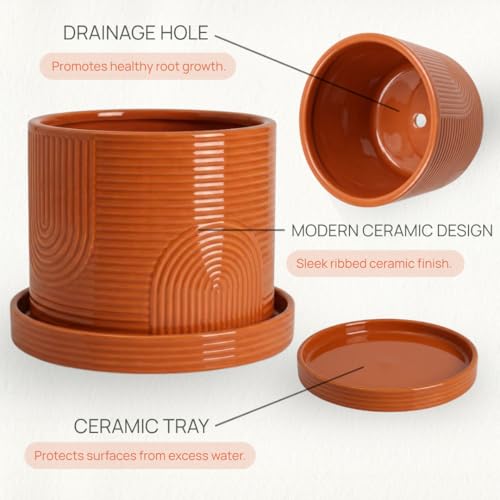 6 Inch Ceramic Plant Pot with Drainage Hole & Tray – Terracotta - color: Terracotta