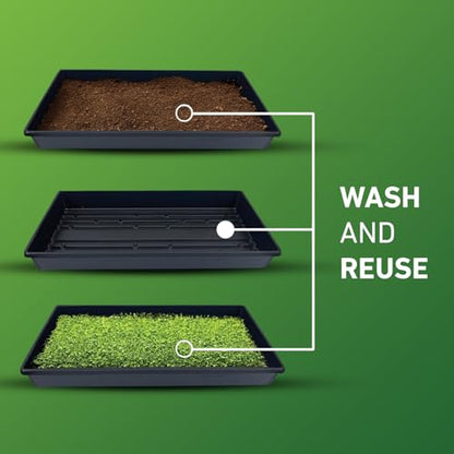 10x20 Inch Black Plastic 10 Pack Plant Propagation Tray No Holes - color: Black, size: 10-Pack