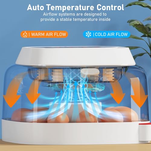 Sailnovo 12 Eggs Incubator, 4 Modes, Temp Control & Humidity Display, Blue - color: Blue, size: 12 Eggs