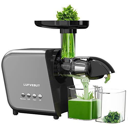 Cold Press Masticating Juicer 250W Slow Extractor for Whole Celery & Carort - color: Sliver