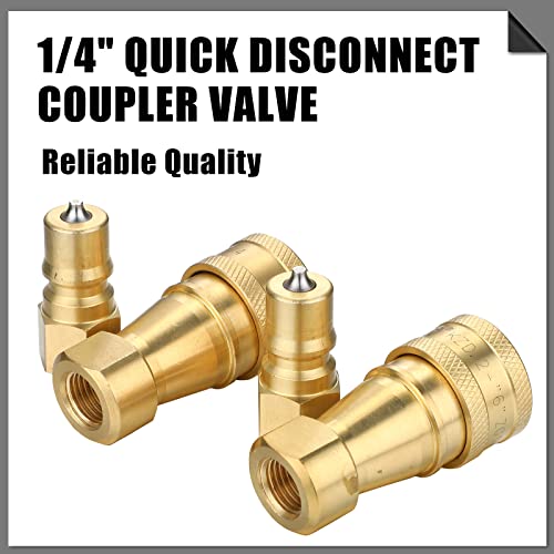 Vinsot 6 Set 2 Set 1/4" Quick Disconnect Coupler Valve for Carpet Cleaning