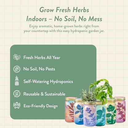 Modern Sprout Hydroponic Grow Kit Bundle with Herb Saver Set - color: Garden Jar 3pk+ Keeper