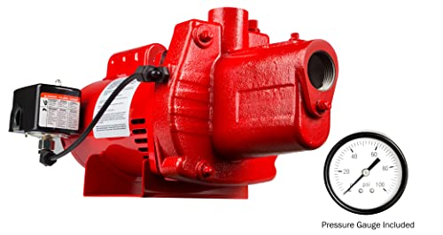 Red Lion RJS-75-PREM 115/230V, 3/4 HP, 16 GPM, Shallow Well Jet Pump - style: 3/4-HP, 16-GPM, Premium
