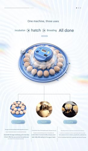 JUJOJB 12-Egg Incubator with Automatic Turner and Temperature Control - color: Blue
