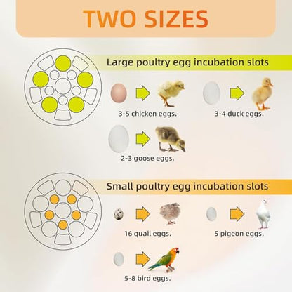 Small Household Egg Incubator USB Powered Transparent Observation Cover with Egg Projector can Hold 5 Eggs
