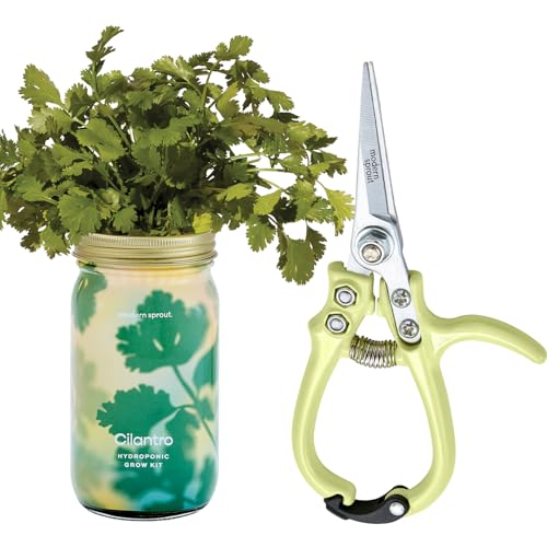 Modern Sprout Hydroponic Grow + Harvest Bundle - color: Cilantro Garden Jar + Chartreuse Shears