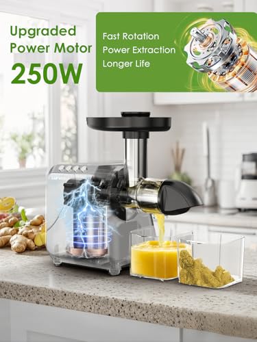 Cold Press Juicer for Celery Carrot Orange- Soft/Hard Fruits Vegetables - color: Black