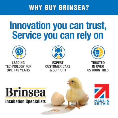 Brinsea Mini II Advance Complete Classroom Egg Hatching Incubation Kit - size: Classroom Kit, 7 Eggs