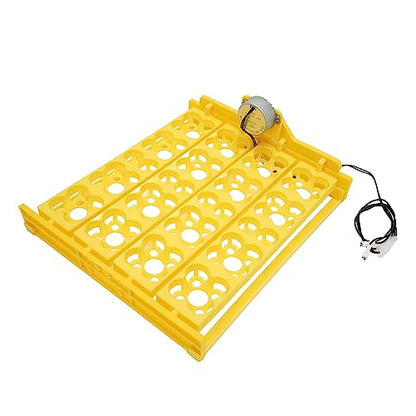 Egg Incubator Tray, Multifunction Automatic Egg Turner Incubator Tray Eggs Automatic Egg Turner Turning Tray for 16 Duck Eggs 16 Eggs 72 Quail Eggs Incubation (AC12V) - size: AC12V
