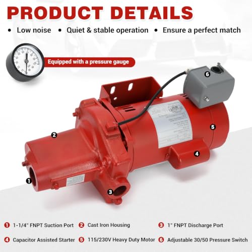 PTNHZ Cast Iron Shallow Well Jet Pump, 1 HP, 23 GPM, 115/230V