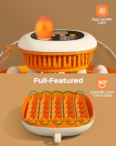 Chickcozy 25 Egg Incubator, Automatic Egg Turner with Thermometer Seat and Humidity Control, Egg Candler, 360° View with Clear Window, Incubators for Hatching Chicks (Sunlit Orange)