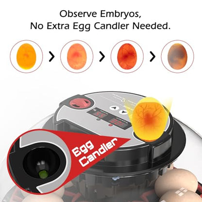 Smart Chicken Incubators for Hatching Eggs with Automatic Turner Small Poultry Duck Quail 12 Egg Incubator Temperature Control Display Hatcher Machine (M12 Pro) - color: M12 Pro