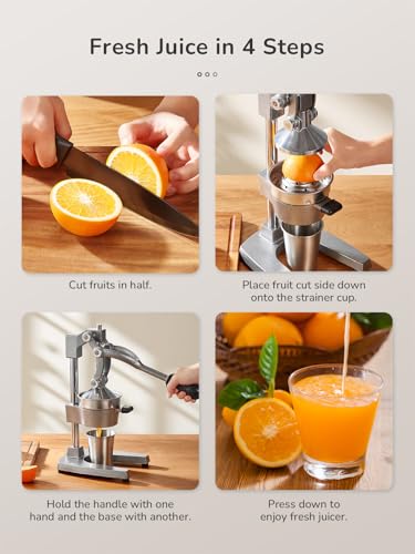 QCen Manual Citrus Juicer Cast Iron Heavy Duty Orange Press - color: Silver