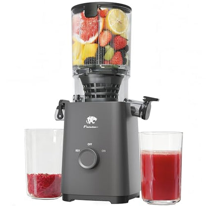 Cold Press Juicer Machines, 5.3" Large Feed Chute Slow Masticating Juicer, Powerful AC Brushless Motor Fit Whole Fruits & Vegetable, 99% Juice Yield, Ultra Quiet, Easy Clean - color: Grey