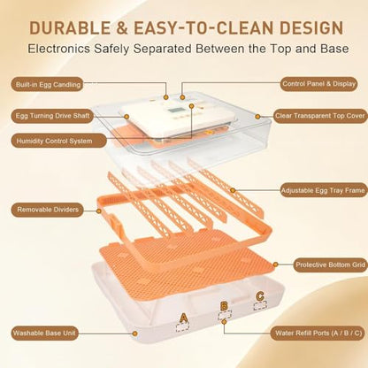Series IV - 56 Egg Professional Incubator for Breeders, Automatic Sensor-Based Precise Humidity & Temp Control, Adjustable Egg Spacing, Auto Turn & Auto Stop, Preset Incubation Days, Chick Separator - size: 56-Egg Orange