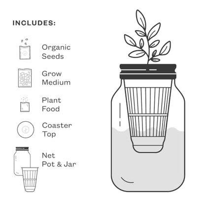 Modern Sprout Mason Jar Grow Set 6pk - Hydroponic Indoor Herb Garden Kit - color: Basil + Mint + Parsley + Cilantro + Rosemary+ Lavender, size: Garden Jars