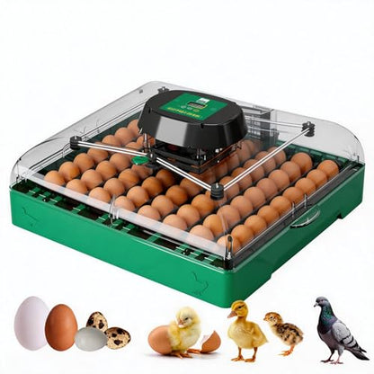 Egg Incubator for Chicken Eggs, Max 72 Egg Incubator with Auto Turner
