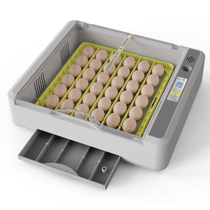 Egg Incubator for Hatching Chick, 36 Eggs Automatic Temp & Humidity Control - color: SXY-Eg36