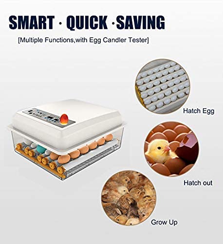 Egg Incubator,Egg Incubator with Automatic Egg Turning and Humidity Control,Poultry Hatcher for Chickens Ducks Birds (56 Eggs) - size: 56 Eggs
