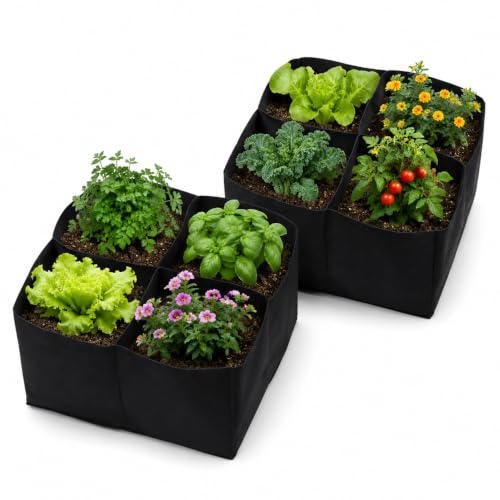 Gardzen 2 Pack Fabric Raised Garden Beds - size: 2Feet x 2Feet