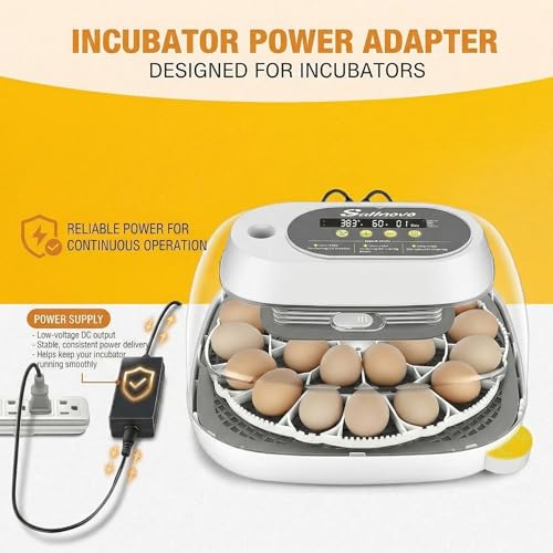 Sailnovo 24 Eggs Incubator, 4 Modes, Temp Control & Humidity Display, Grey - color: Grey, size: 24 Eggs