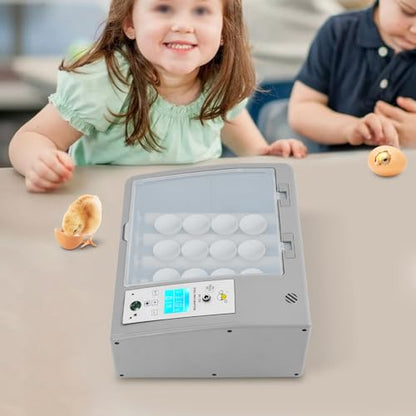 Egg Incubator 16 Eggs, Fully Automatic Digital Household Egg Incubator, Automatic Egg Turning, Temperature Control, 110V/12V Poultry Hatching Machine, for Chicken Duck Bird Eggs - size: 16 Eggs