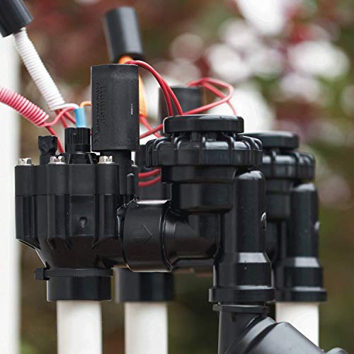 Hunter Industries Sprinkler NODE100 Battery Controller with Solenoid and Hunter 3/4" PGV-ASV Anti-Siphon Valve