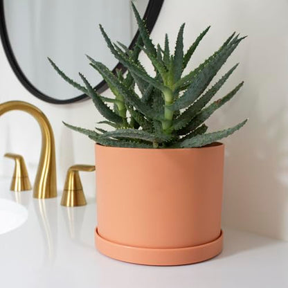 Bloem Mathers Planter w/Saucer Tray 6" Muted Terra Cotta - color: Muted Terra Cotta, size: 6"
