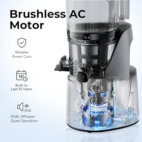 EanOruus Juicer Machines, 3-in-1 Cold Press Juicer, Premium Gray - color: Premium Gray