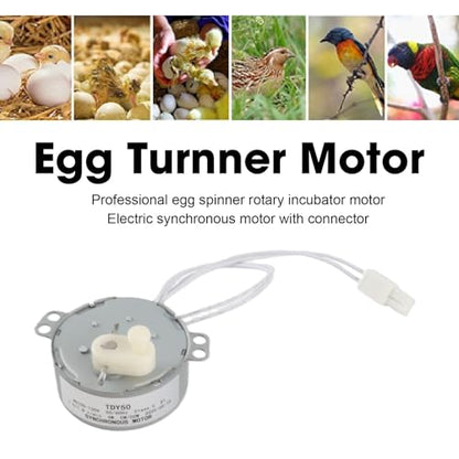 Egg Tray Turning Motor, Electric Synchron Motor Replacement Egg Turner Motor, Automatic Egg Turning Tray Tool Incubator Accessories for Incubating Chicken, Duck and Quail Egg