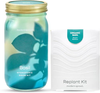 Modern Sprout Mason Jar+Replant Kit- Self-Watering Hydroponics System-Basil - color: Basil, size: Garden Jar + Replant Kit